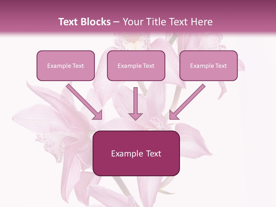 Photography Floral Object PowerPoint Template