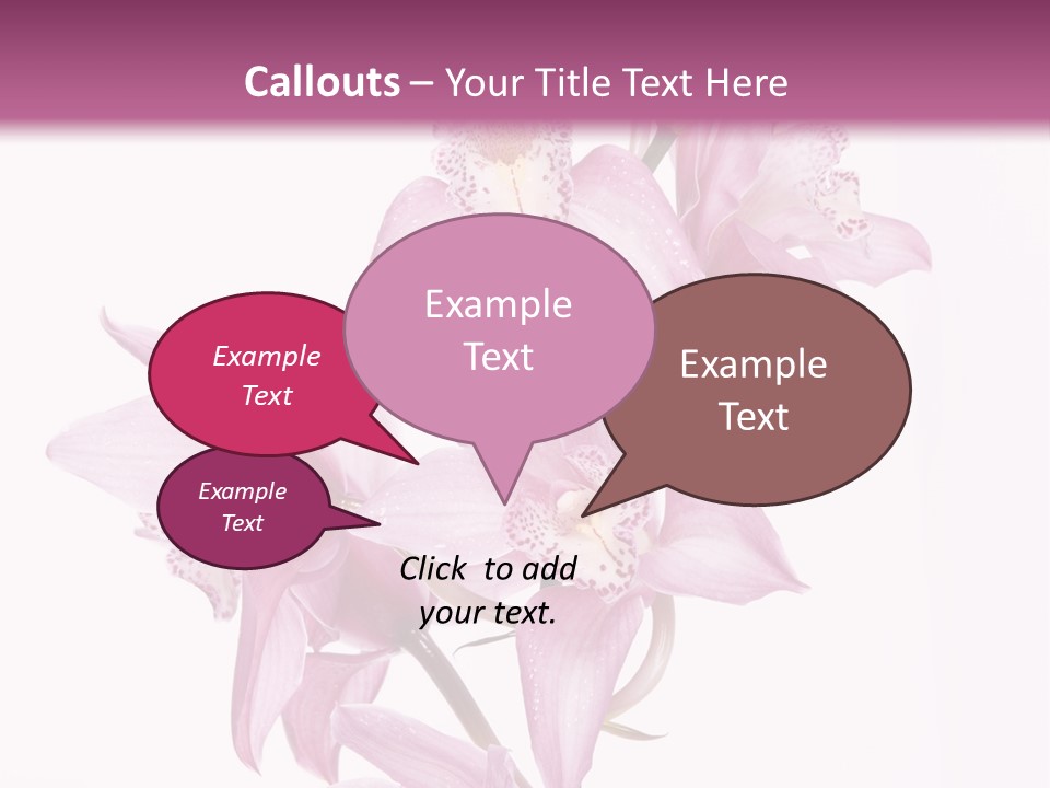 Photography Floral Object PowerPoint Template