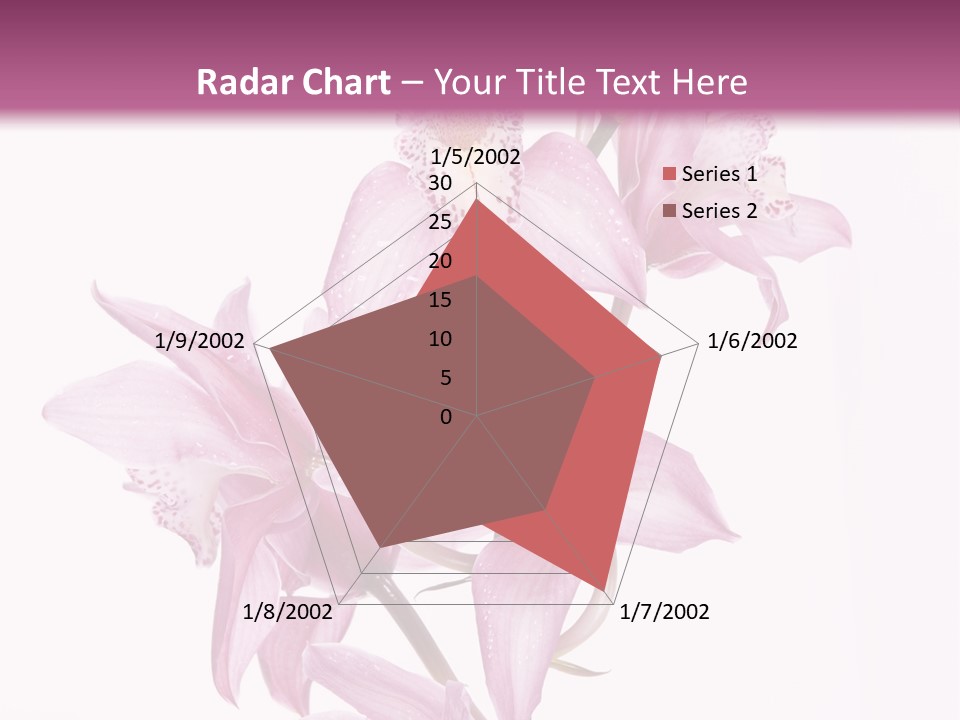 Photography Floral Object PowerPoint Template