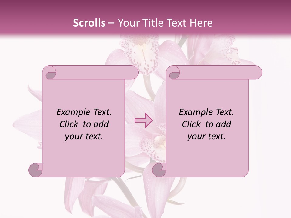 Photography Floral Object PowerPoint Template