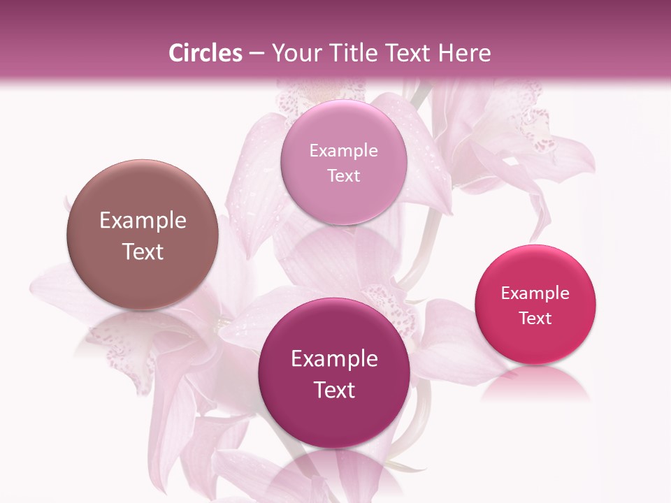 Photography Floral Object PowerPoint Template
