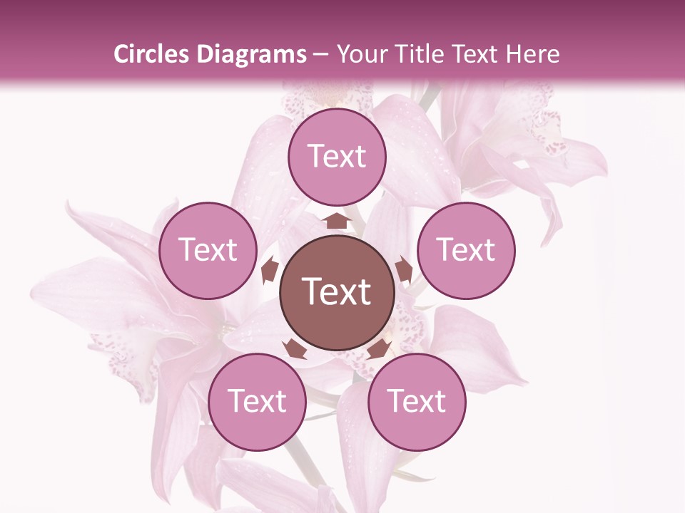 Photography Floral Object PowerPoint Template