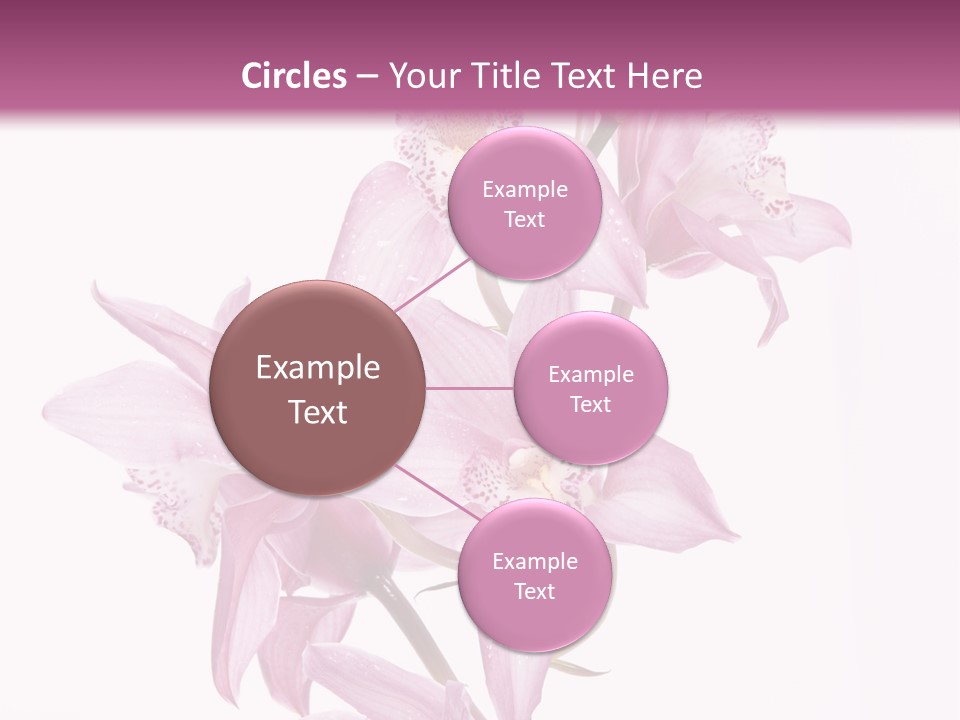 Photography Floral Object PowerPoint Template