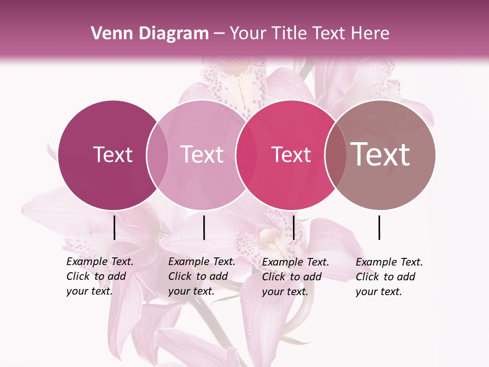 Photography Floral Object PowerPoint Template