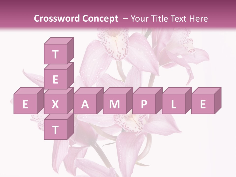 Photography Floral Object PowerPoint Template