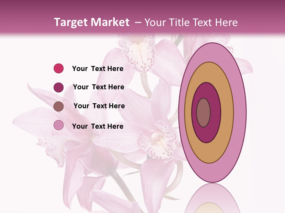 Photography Floral Object PowerPoint Template