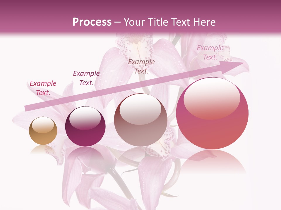 Photography Floral Object PowerPoint Template