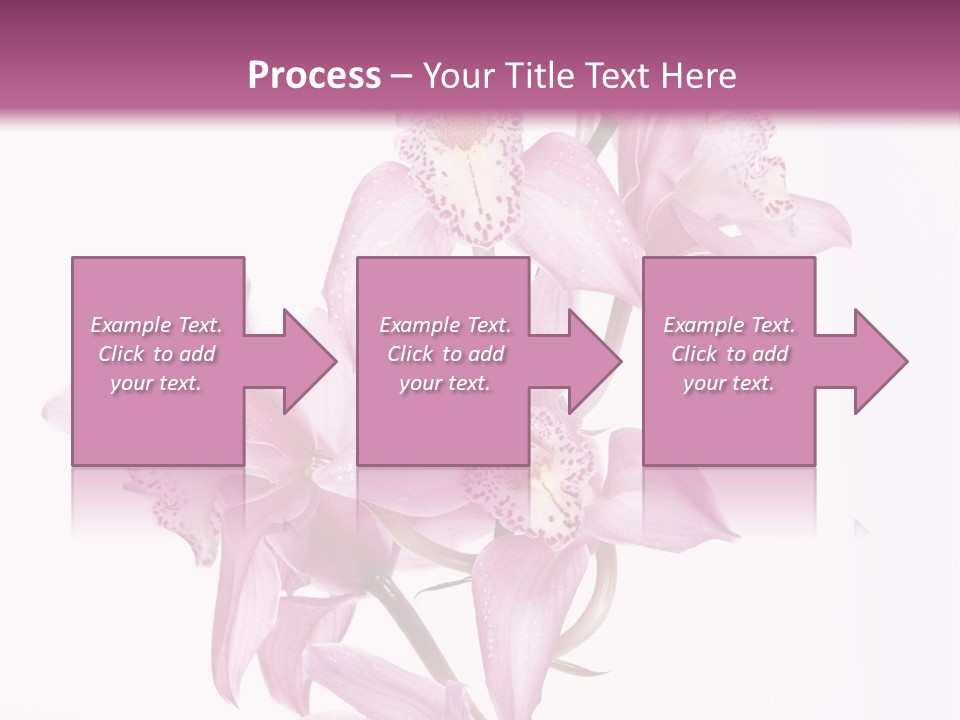 Photography Floral Object PowerPoint Template