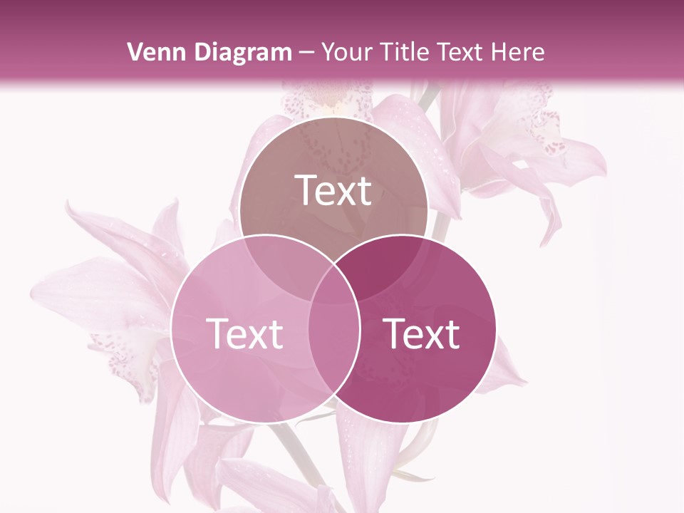 Photography Floral Object PowerPoint Template