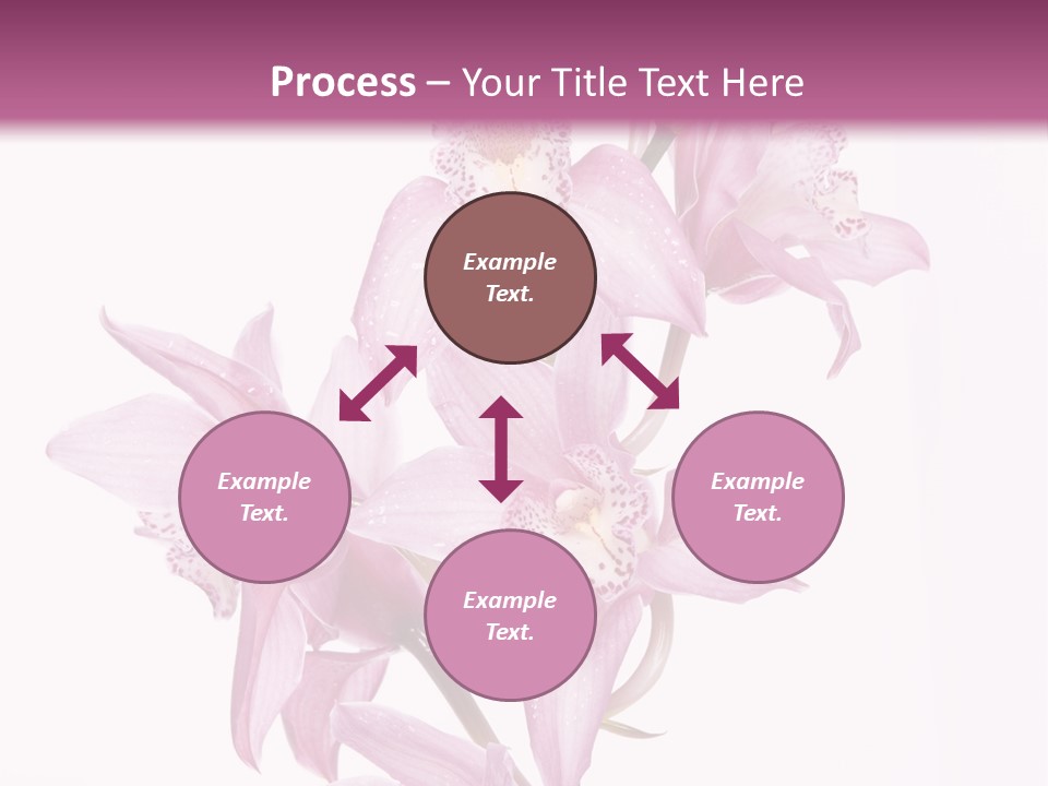 Photography Floral Object PowerPoint Template