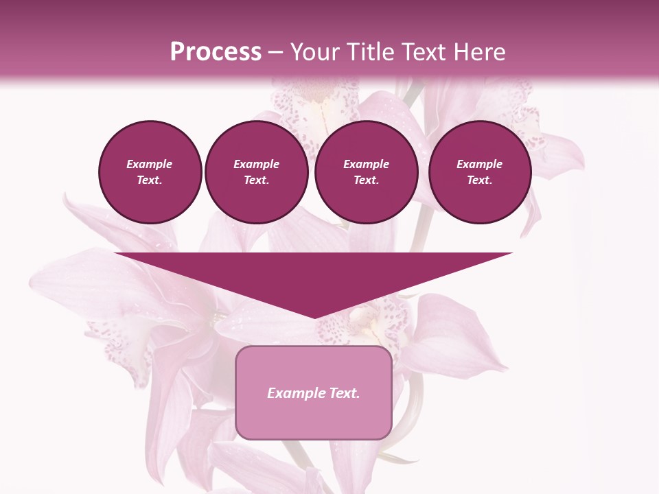 Photography Floral Object PowerPoint Template