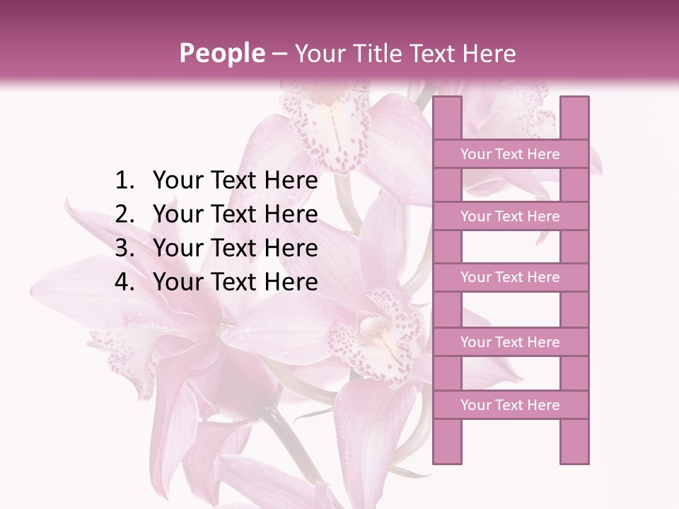 Photography Floral Object PowerPoint Template
