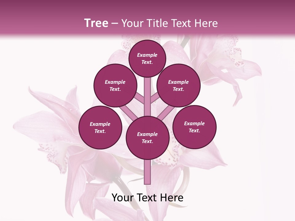 Photography Floral Object PowerPoint Template