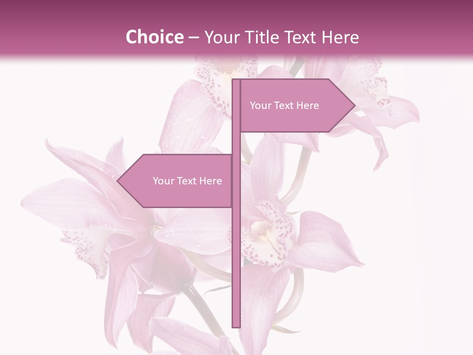 Photography Floral Object PowerPoint Template