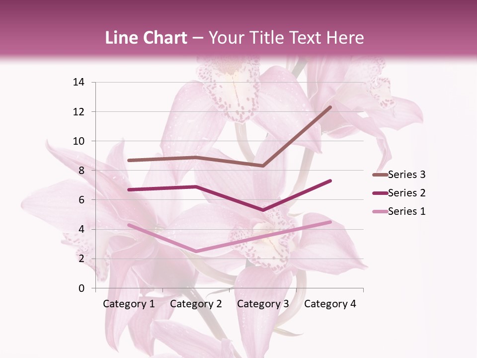 Photography Floral Object PowerPoint Template
