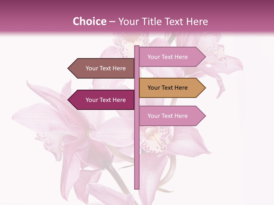 Photography Floral Object PowerPoint Template