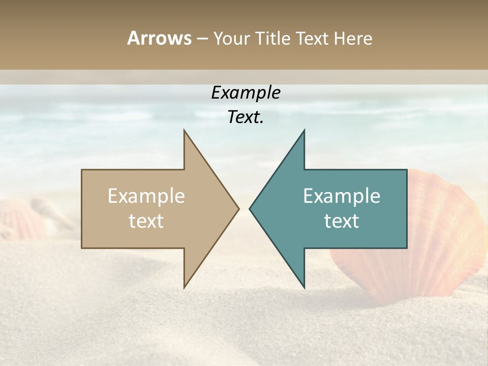Everyday 12-Point Lifesaver PowerPoint Template