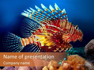 Red Lion Fish PowerPoint Template