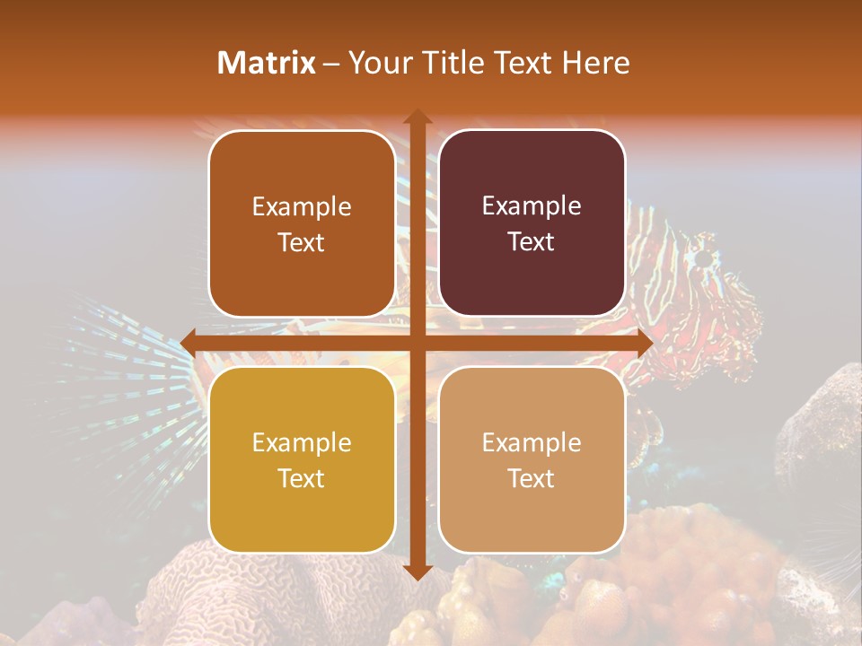 Red Lion Fish PowerPoint Template