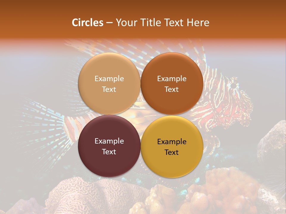 Red Lion Fish PowerPoint Template