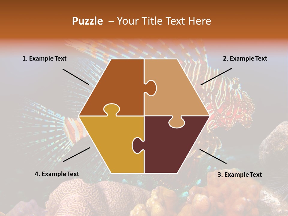 Red Lion Fish PowerPoint Template