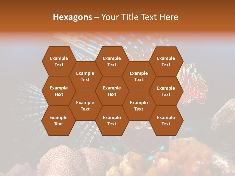 Red Lion Fish PowerPoint Template