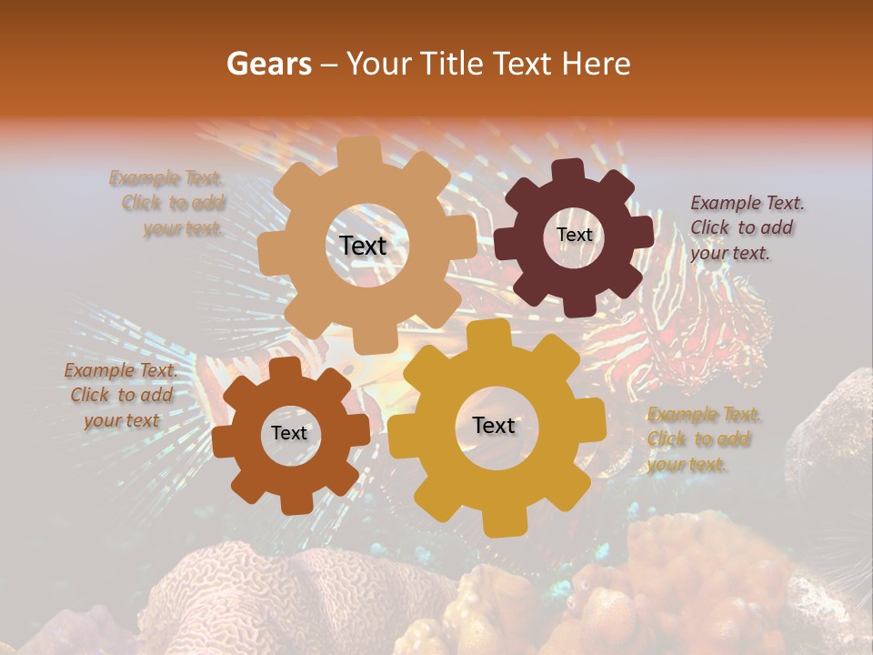 Red Lion Fish PowerPoint Template