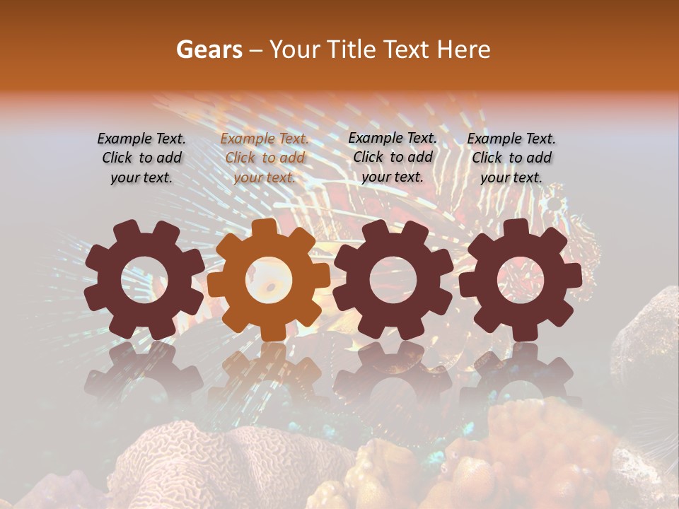 Red Lion Fish PowerPoint Template