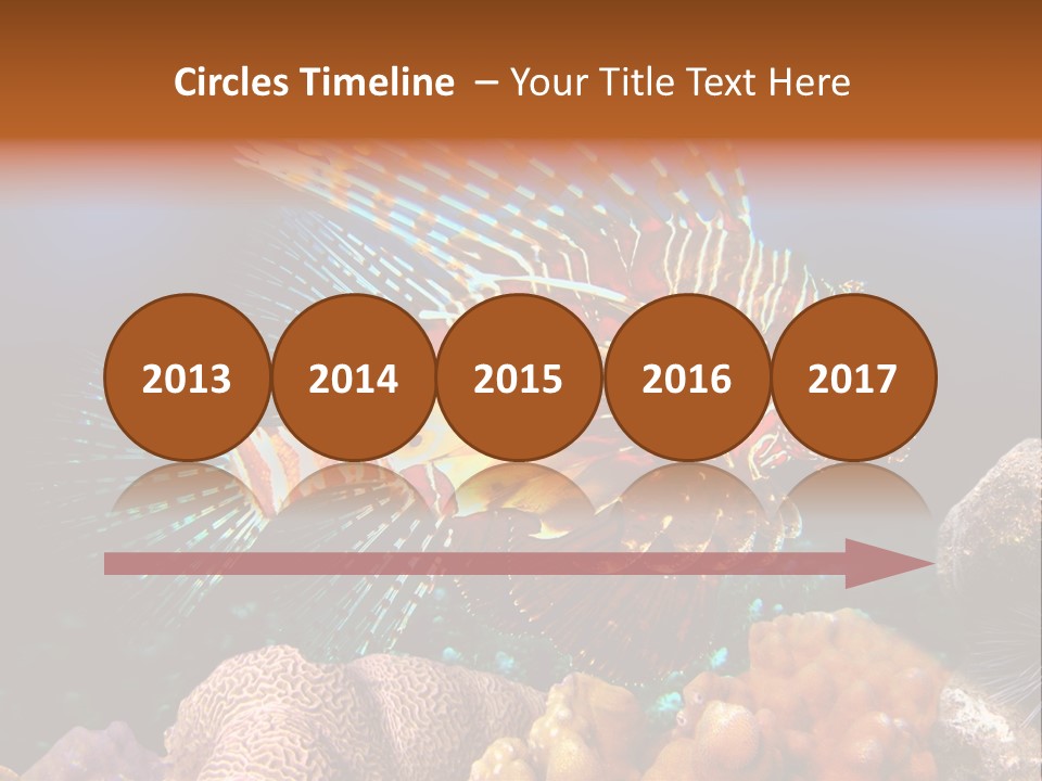 Red Lion Fish PowerPoint Template