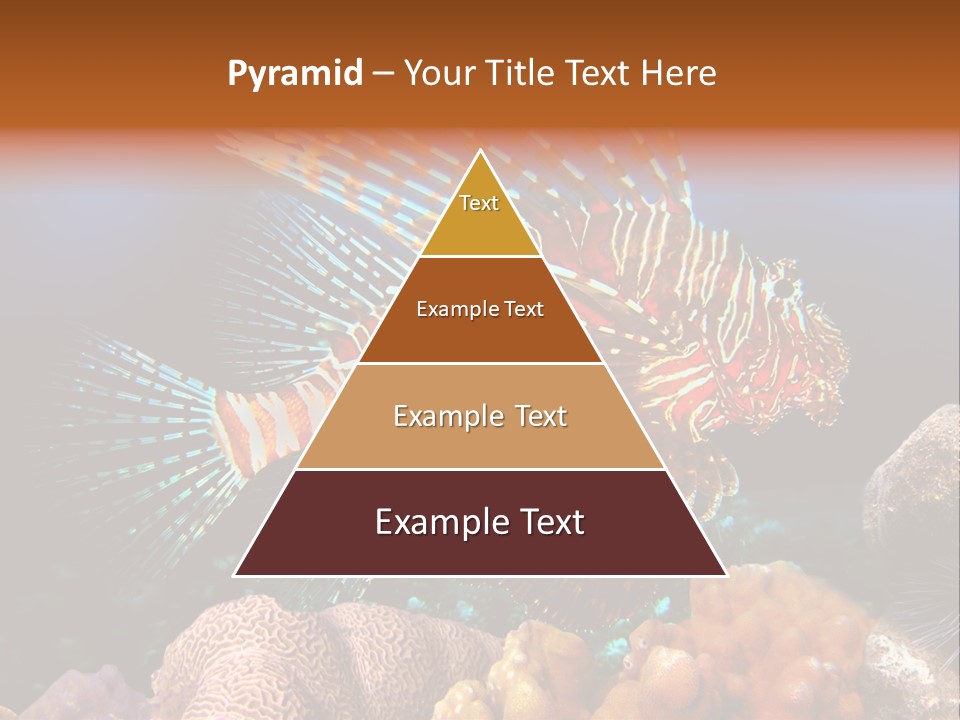 Red Lion Fish PowerPoint Template