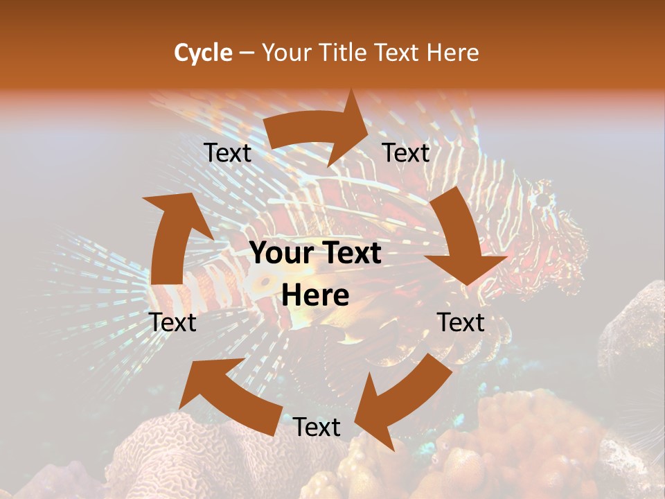 Red Lion Fish PowerPoint Template