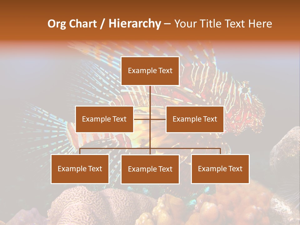 Red Lion Fish PowerPoint Template