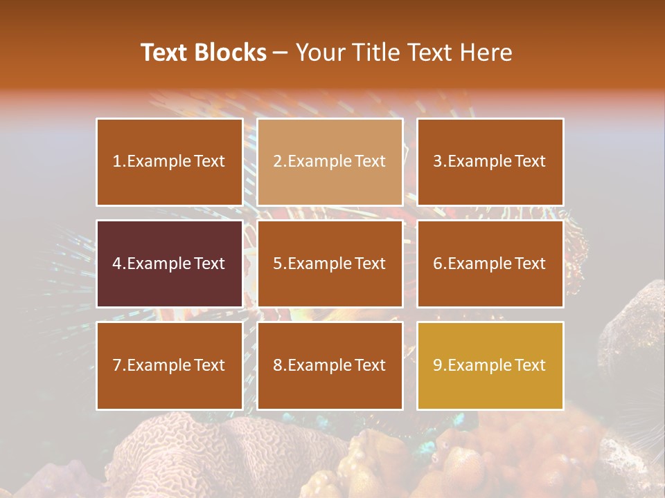 Red Lion Fish PowerPoint Template