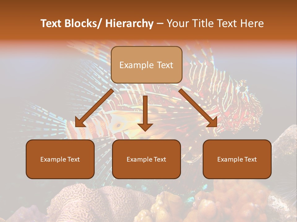 Red Lion Fish PowerPoint Template