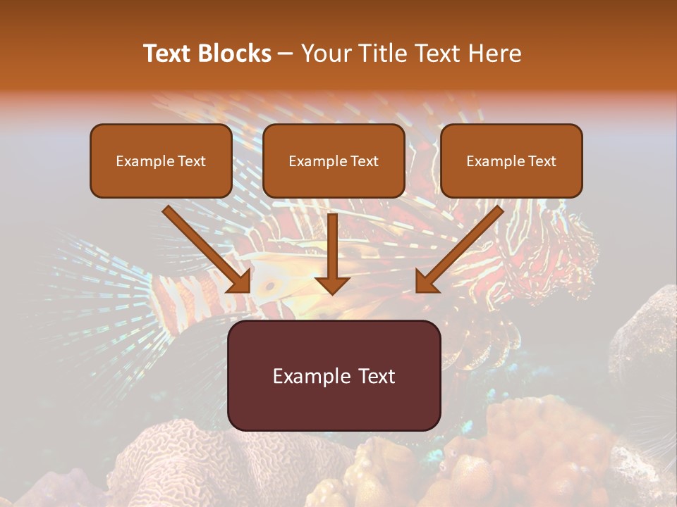 Red Lion Fish PowerPoint Template