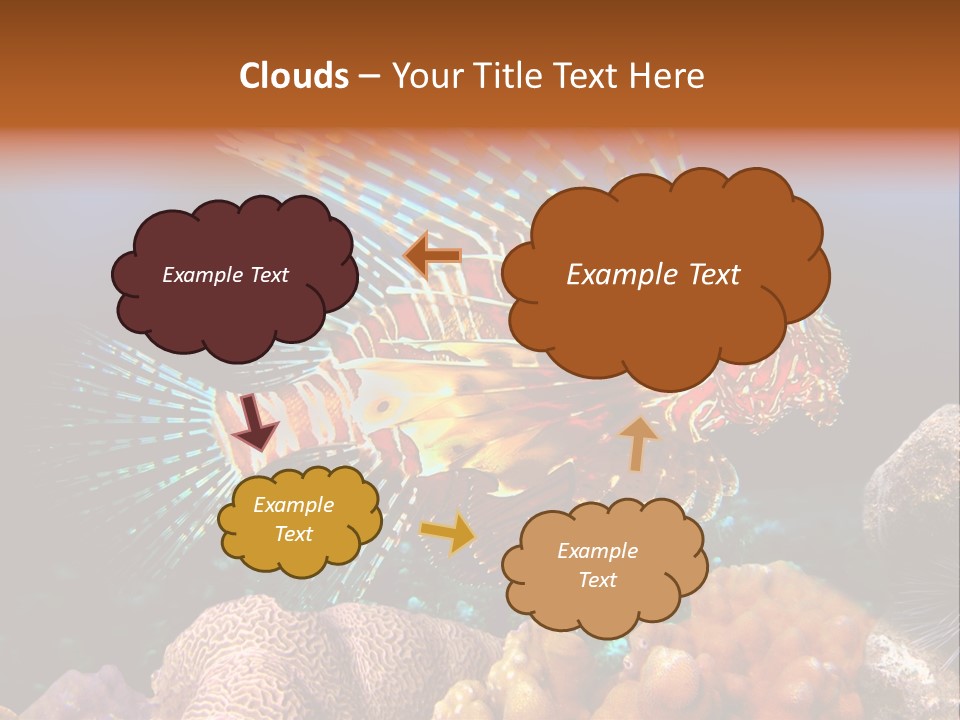 Red Lion Fish PowerPoint Template