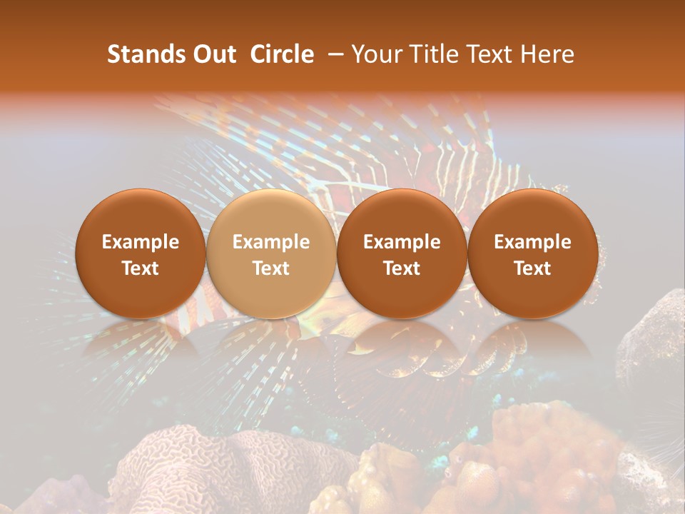 Red Lion Fish PowerPoint Template