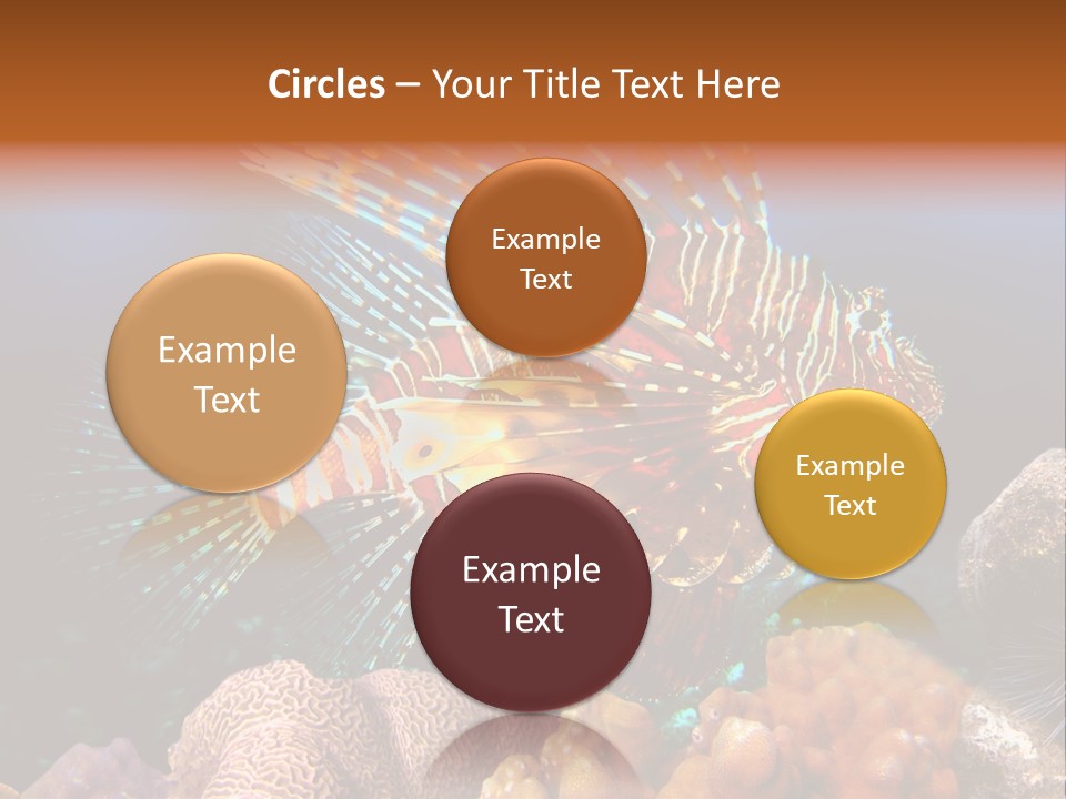 Red Lion Fish PowerPoint Template