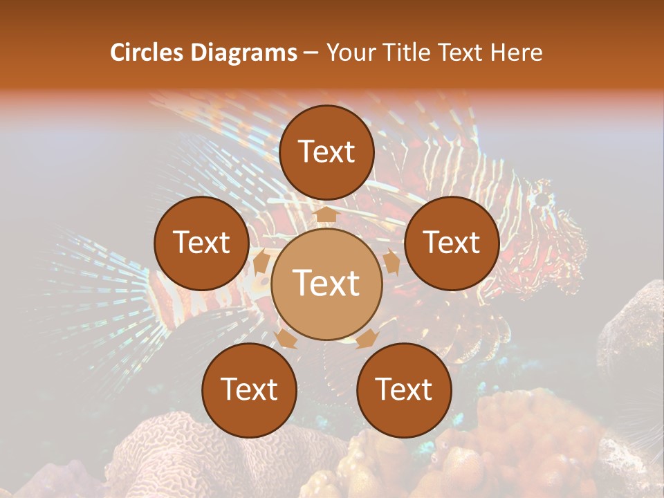 Red Lion Fish PowerPoint Template