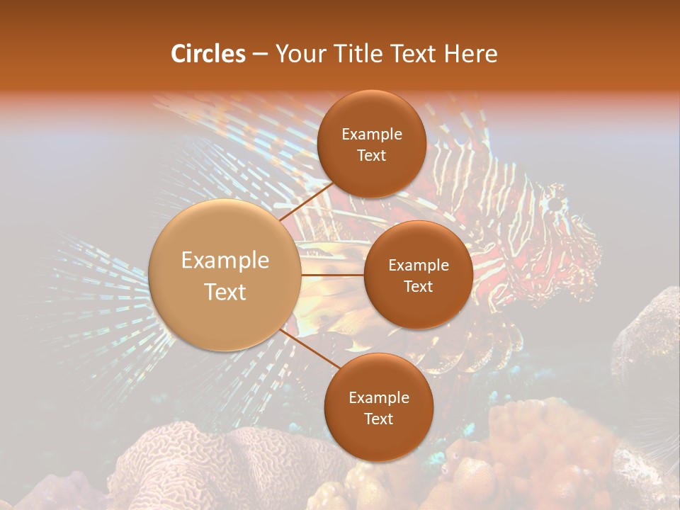 Red Lion Fish PowerPoint Template