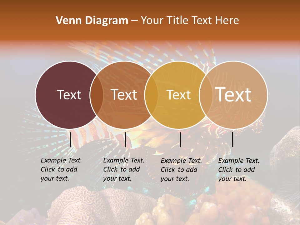 Red Lion Fish PowerPoint Template