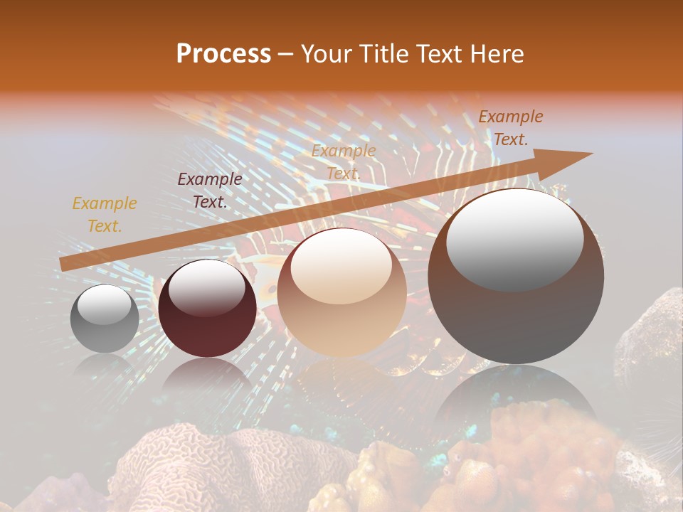 Red Lion Fish PowerPoint Template