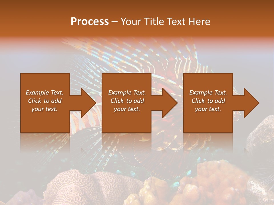 Red Lion Fish PowerPoint Template