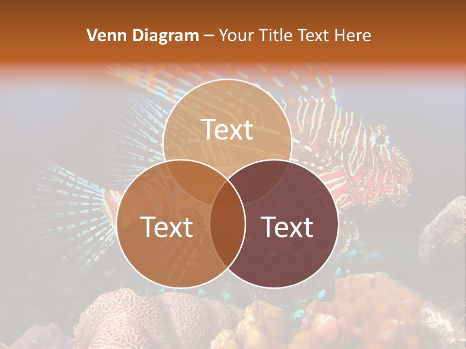 Red Lion Fish PowerPoint Template