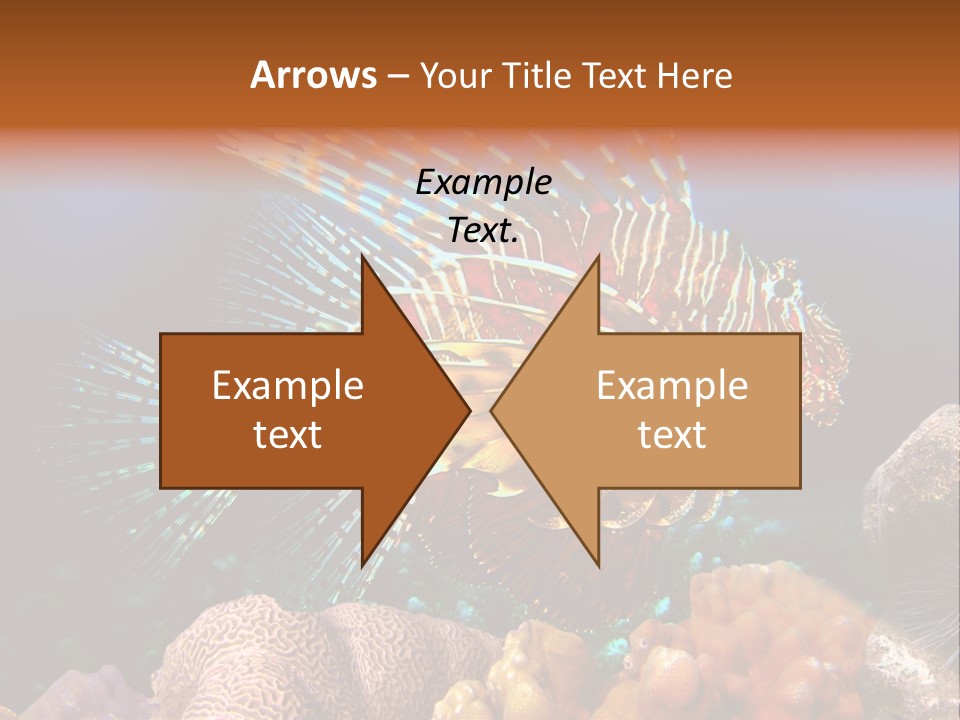 Red Lion Fish PowerPoint Template