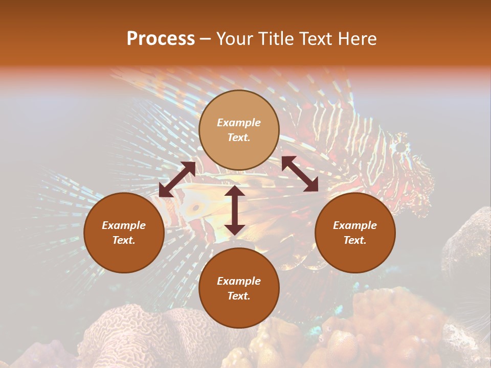 Red Lion Fish PowerPoint Template