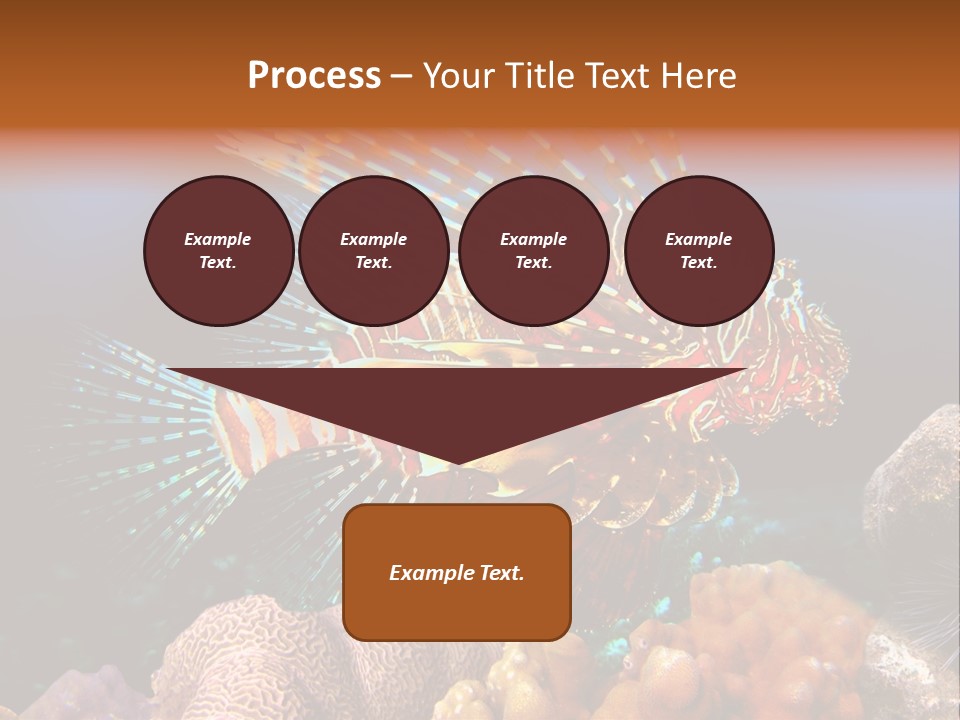 Red Lion Fish PowerPoint Template