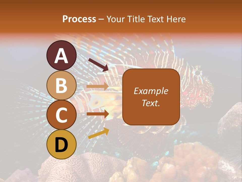 Red Lion Fish PowerPoint Template