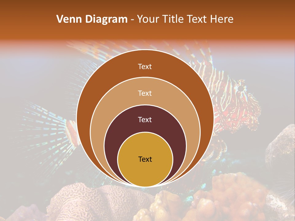 Red Lion Fish PowerPoint Template