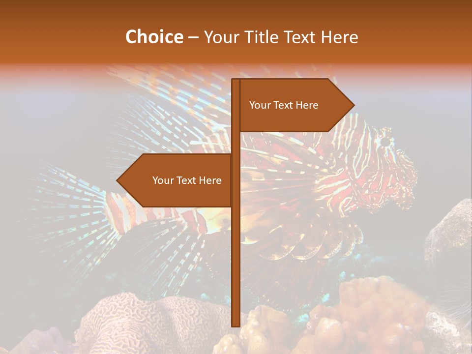 Red Lion Fish PowerPoint Template